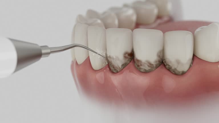 Reliable Dental contractor in Newton Falls, OH by Dentist Open Now